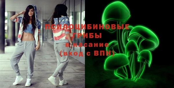 дмт Краснослободск