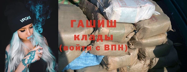 дмт Краснослободск